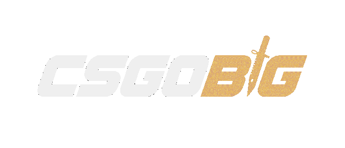 CSGOBIG